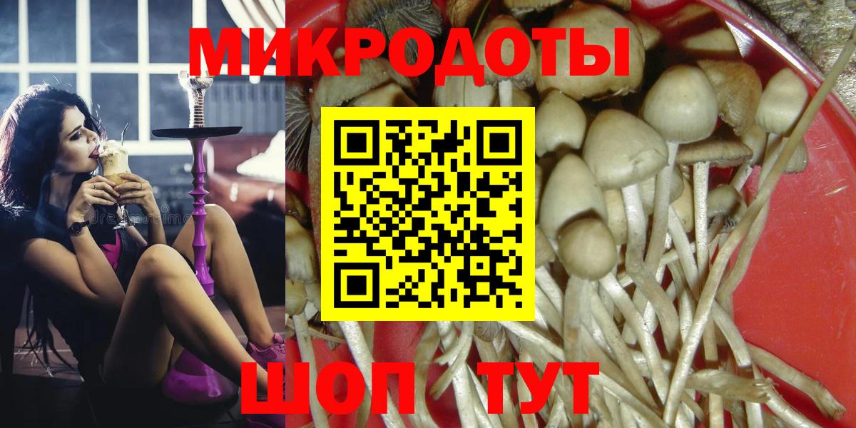 Псилоцибиновые грибы мухоморы  Вход с VPN  Псилоцибиновые грибы прущие грибы  Серов 