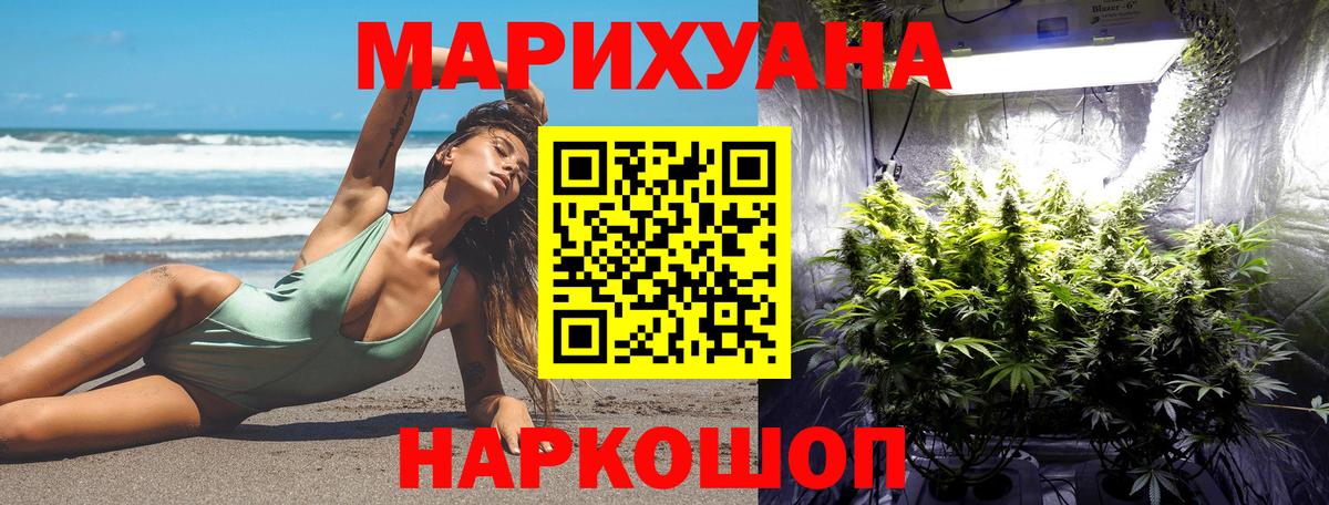 Шишки марихуана план Серов
